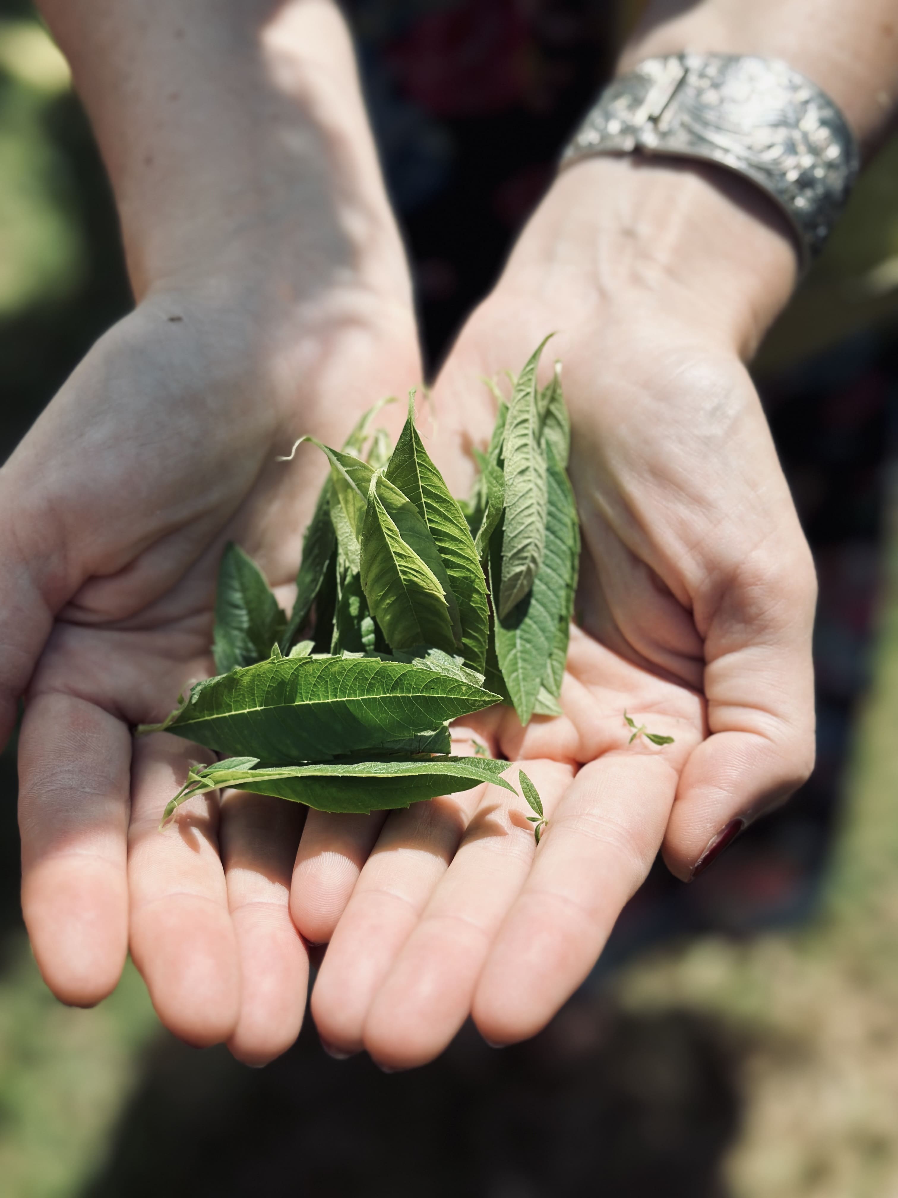 Looking for an original outing in Yssingeaux? Visit La Vertueuse and enjoy a friendly tasting experience.